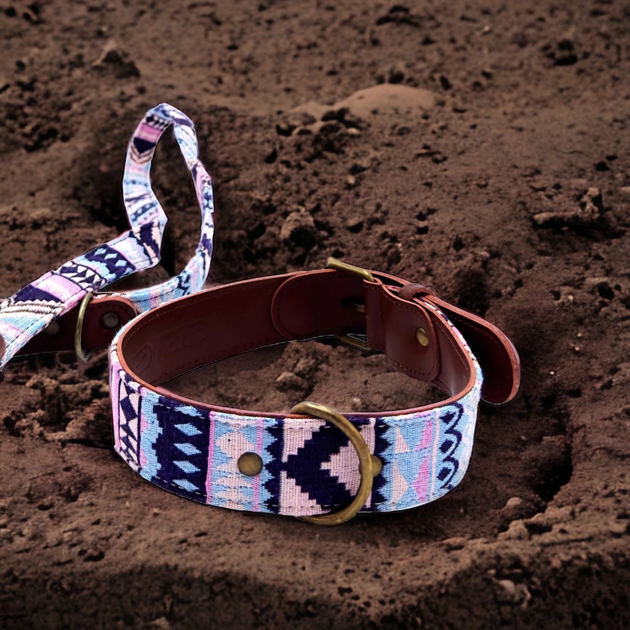 Hundehalsband in bunt kaufen - Hochwertig & Exklusiv  Die Stupsnase
