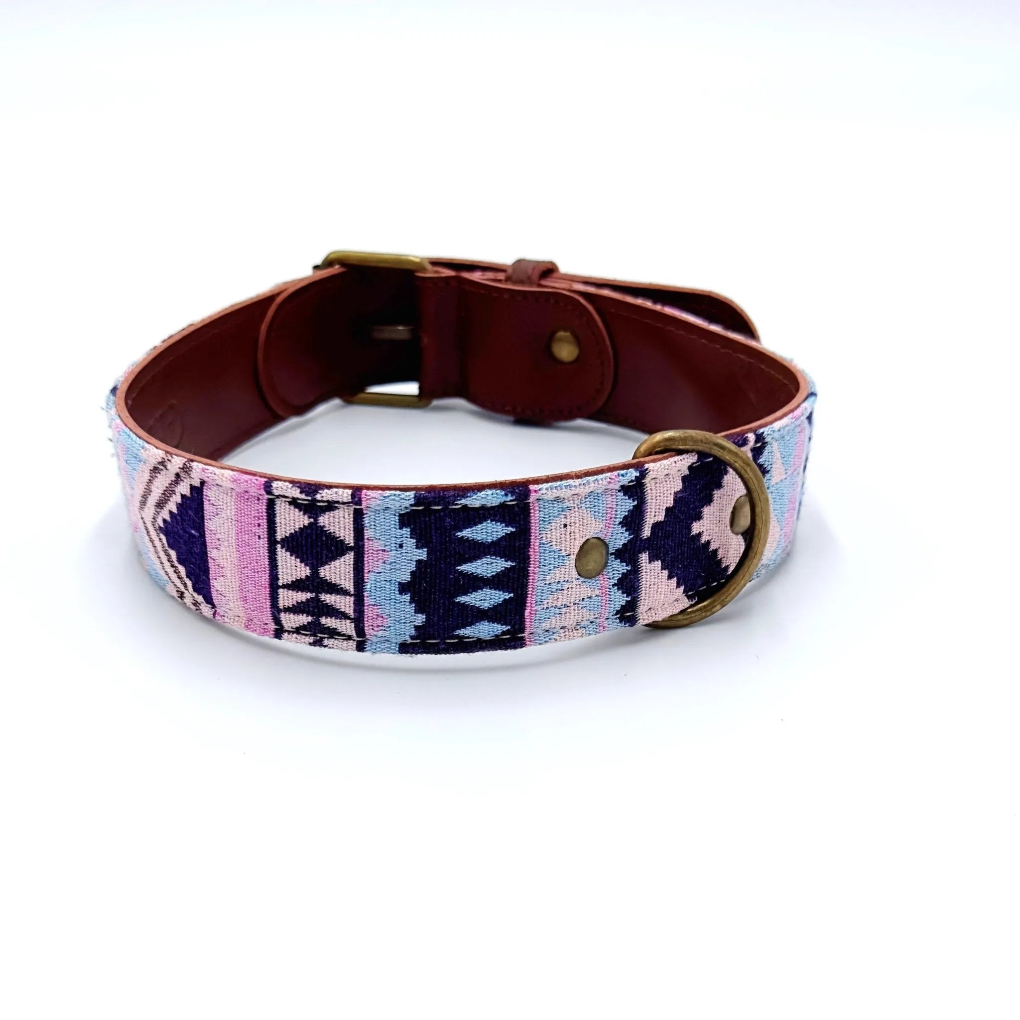 Exklusives Kangal Halsband kaufen [Hochwertig]  Die Stupsnase