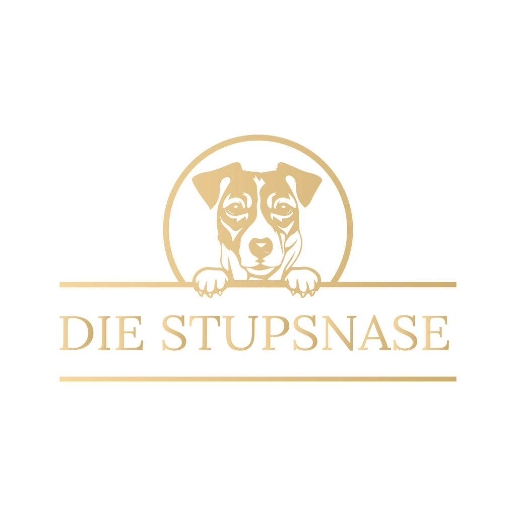 Luxus Hundehalsband online kaufen - Exklusive Auswahl – Die Stupsnase