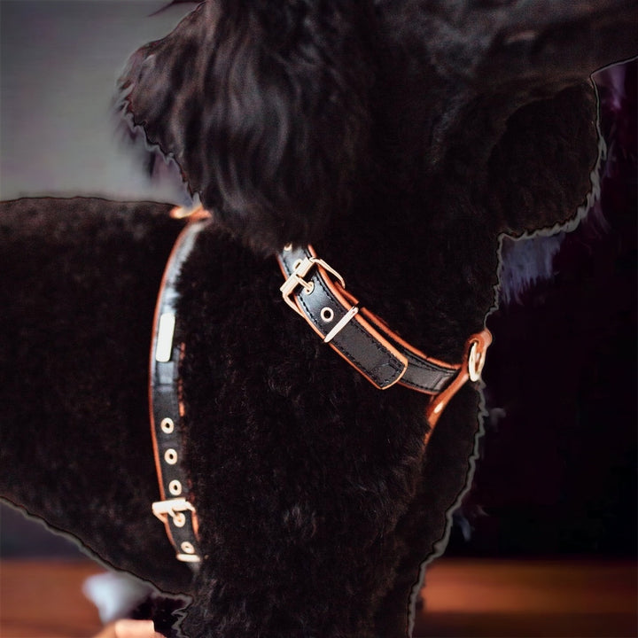 Lia schwarzes Hundegeschirr aus Leder