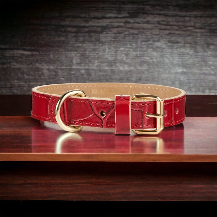 Lia komplettes Hundehalsband Set in rot