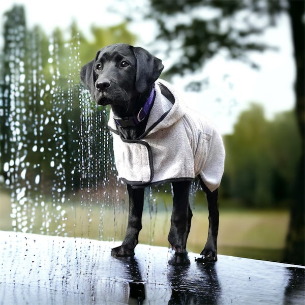 Bademantel für Hunde in verschiedene Größen erhältlich