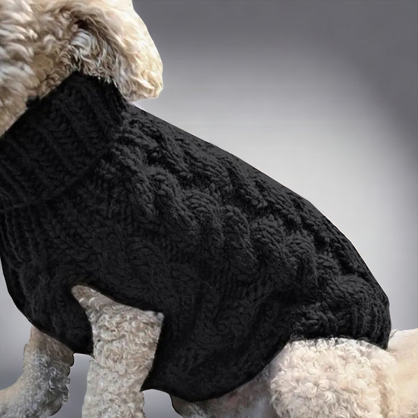 Hundepulli für den Winter und Herbst aus BIO Baumwolle