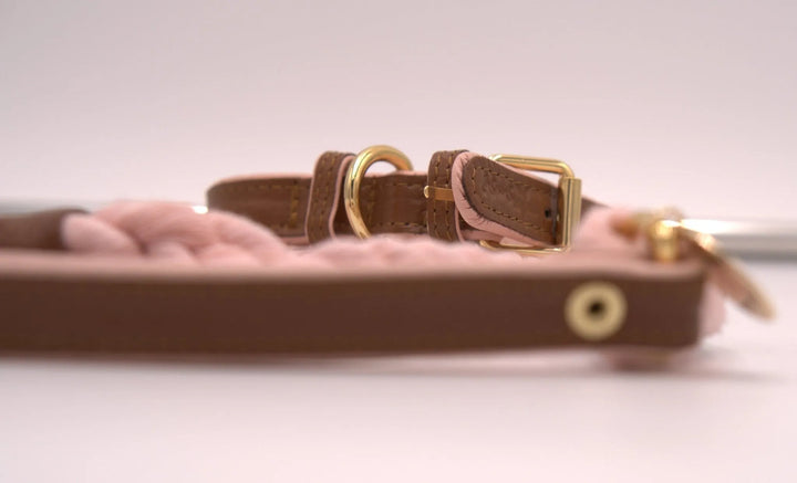 Bella Rosa Handgefertigte Hundeleine aus robustem Seil und edlem Leder in wunderschönem Rosa - Die StupsnaseBella Rosa Handgefertigte Hundeleine aus robustem Seil und edlem Leder in wunderschönem RosaHundeleineDie StupsnaseHundeleine