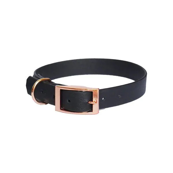 Biothane Hundehalsband in Schwarz mit Roségoldenen Riemen - Die StupsnaseBiothane Hundehalsband in Schwarz mit Roségoldenen RiemenHundehalsbandDie StupsnaseHundehalsband