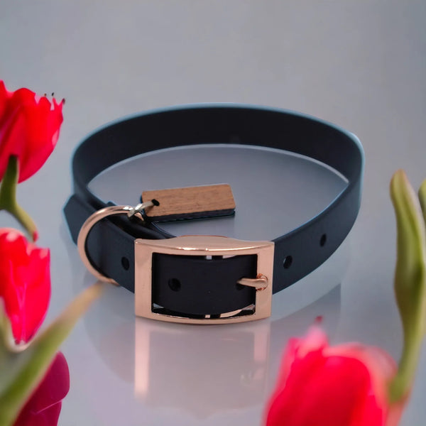 Biothane Hundehalsband in Schwarz mit Roségoldenen Riemen - Die StupsnaseBiothane Hundehalsband in Schwarz mit Roségoldenen RiemenHundehalsbandDie StupsnaseHundehalsband