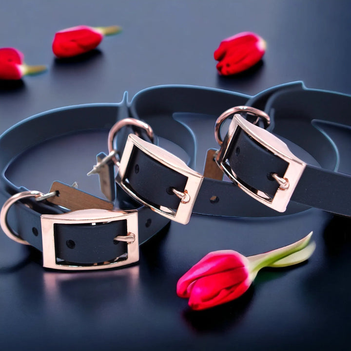 Biothane Hundehalsband in Schwarz mit Roségoldenen Riemen - Die StupsnaseBiothane Hundehalsband in Schwarz mit Roségoldenen RiemenHundehalsbandDie StupsnaseHundehalsband
