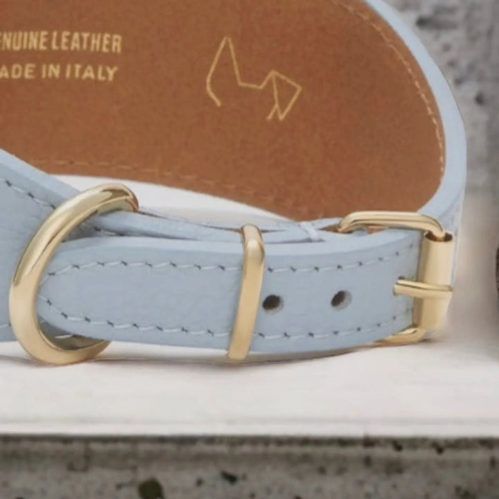 Blaues Windhundhalsband aus Leder - Die StupsnaseBlaues Windhundhalsband aus LederWindhund HalsbandDie StupsnaseWindhund Halsband