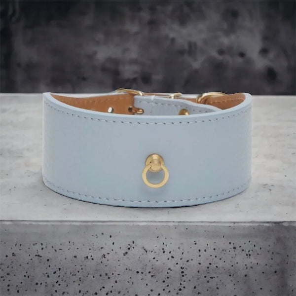 Blaues Windhundhalsband aus Leder - Die StupsnaseBlaues Windhundhalsband aus LederWindhund HalsbandDie StupsnaseWindhund Halsband
