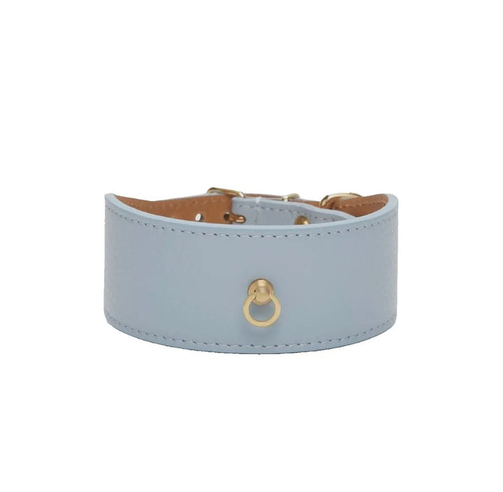 Blaues Windhundhalsband aus Leder - Die StupsnaseBlaues Windhundhalsband aus LederWindhund HalsbandDie StupsnaseWindhund Halsband