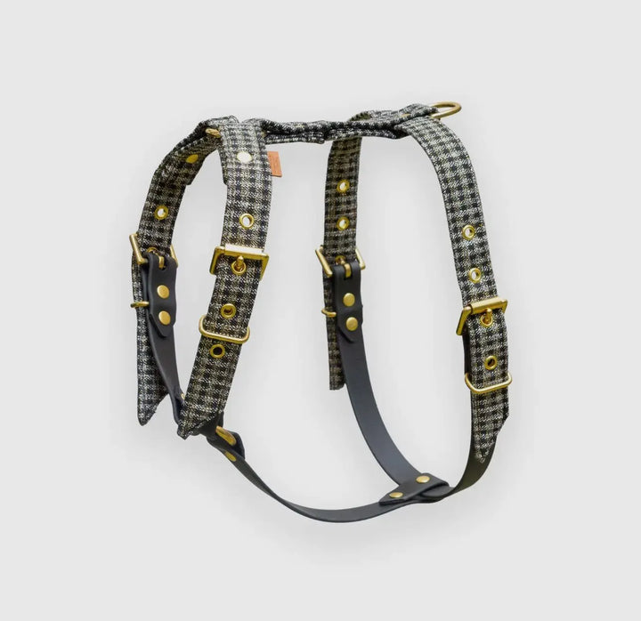Cambon Harness – Handgemachtes, verstellbares Hundegeschirr für kleine Hunde (XS & S) mit edlen Messingbeschlägen und robustem Design - Die StupsnaseCambon Harness – Handgemachtes, verstellbares Hundegeschirr für kleine Hunde (XS & S) mit edlen Messingbeschlägen und robustem DesignHundegeschirrDie StupsnaseHundegeschirr