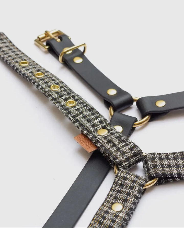 Cambon Harness – Handgemachtes, verstellbares Hundegeschirr für kleine Hunde (XS & S) mit edlen Messingbeschlägen und robustem Design - Die StupsnaseCambon Harness – Handgemachtes, verstellbares Hundegeschirr für kleine Hunde (XS & S) mit edlen Messingbeschlägen und robustem DesignHundegeschirrDie StupsnaseHundegeschirr