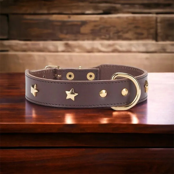 Elegantes Hundehalsband aus 100% Rindsleder mit goldenen Sternenapplikationen in Braun - Die StupsnaseElegantes Hundehalsband aus 100% Rindsleder mit goldenen Sternenapplikationen in BraunHundehalsbandDie StupsnaseHundehalsband