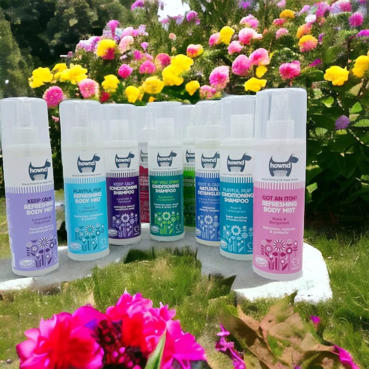 Erfrischendes Hundespray mit Eukalyptus und Zedernholz *Vegan - Die StupsnaseErfrischendes Hundespray mit Eukalyptus und Zedernholz *VeganshampooDie Stupsnaseshampoo