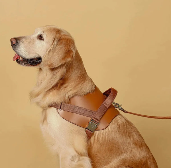 Ergonomisches Hundegeschirr in Braun aus veganem Leder – Handgefertigt, sicher und bequem für alle Hunderassenfür kleine & große Hunde - Die StupsnaseErgonomisches Hundegeschirr in Braun aus veganem Leder – Handgefertigt, sicher und bequem für alle Hunderassenfür kleine & große HundeHundegeschirrDie StupsnaseHundegeschirr