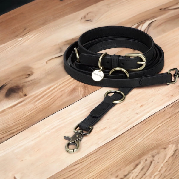Exklusive Hundeleine aus hochwertigem Leder von Nordog - Die StupsnaseExklusive Hundeleine aus hochwertigem Leder von NordogHundeleineDie StupsnaseHundeleine