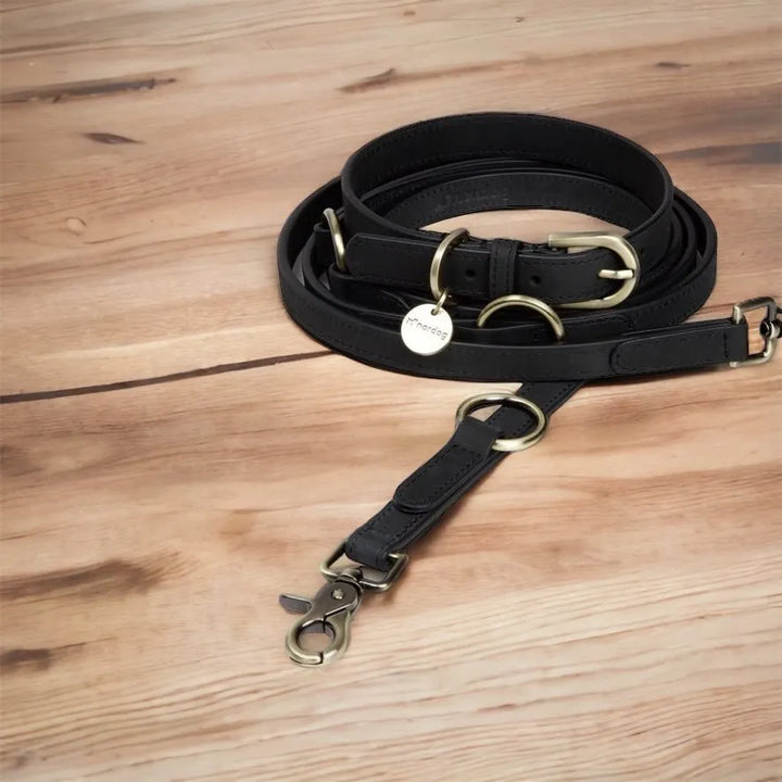 Exklusive Hundeleine aus hochwertigem Leder von Nordog - Die StupsnaseExklusive Hundeleine aus hochwertigem Leder von NordogHundeleineDie StupsnaseHundeleine