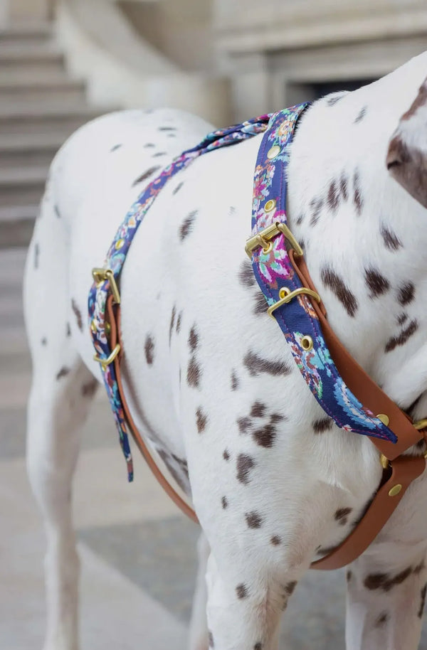 Florales Hundegeschirr mit Blumenmuster – Handgefertigt, Verstellbar & Robust für Kleine Hunde (XS & S) - Die StupsnaseFlorales Hundegeschirr mit Blumenmuster – Handgefertigt, Verstellbar & Robust für Kleine Hunde (XS & S)HundegeschirrDie StupsnaseHundegeschirr