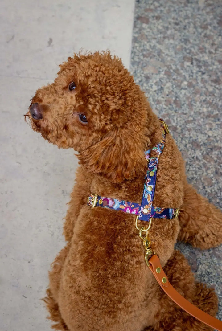 Florales Hundegeschirr mit Blumenmuster – Handgefertigt, Verstellbar & Robust für Kleine Hunde (XS & S) - Die StupsnaseFlorales Hundegeschirr mit Blumenmuster – Handgefertigt, Verstellbar & Robust für Kleine Hunde (XS & S)HundegeschirrDie StupsnaseHundegeschirr