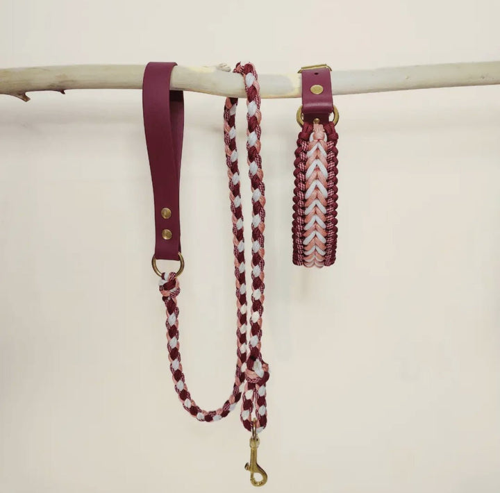 Handgefertigte Hundeleine & Halsband – Geflochten aus Biothane & Paracord im Set - Die StupsnaseHandgefertigte Hundeleine & Halsband – Geflochten aus Biothane & Paracord im SetHundesetDie StupsnaseHundeset