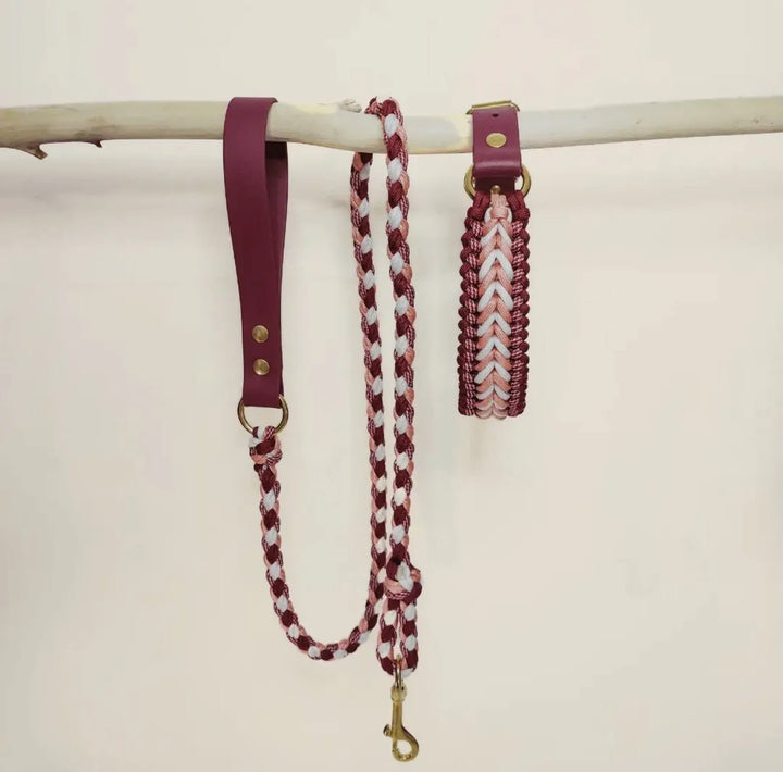 Handgefertigte Hundeleine & Halsband – Geflochten aus Biothane & Paracord im Set - Die StupsnaseHandgefertigte Hundeleine & Halsband – Geflochten aus Biothane & Paracord im SetHundesetDie StupsnaseHundeset