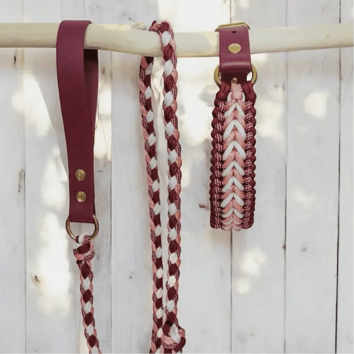 Handgefertigte Hundeleine & Halsband – Geflochten aus Biothane & Paracord im Set - Die StupsnaseHandgefertigte Hundeleine & Halsband – Geflochten aus Biothane & Paracord im SetHundesetDie StupsnaseHundeset