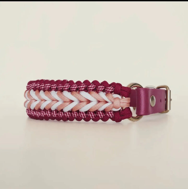 Handgefertigte Hundeleine & Halsband – Geflochten aus Biothane & Paracord im Set - Die StupsnaseHandgefertigte Hundeleine & Halsband – Geflochten aus Biothane & Paracord im SetHundesetDie StupsnaseHundeset
