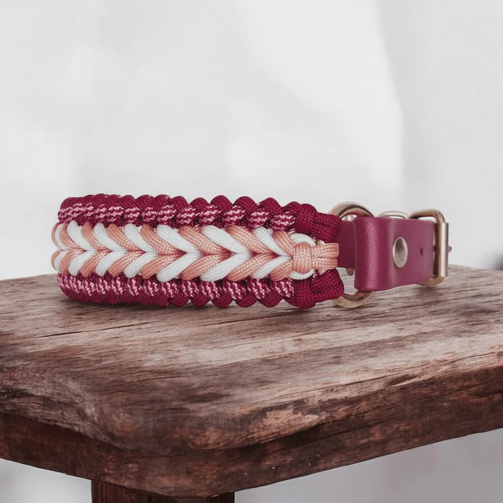 Handgefertigte Hundeleine & Halsband – Geflochten aus Biothane & Paracord im Set - Die StupsnaseHandgefertigte Hundeleine & Halsband – Geflochten aus Biothane & Paracord im SetHundesetDie StupsnaseHundeset