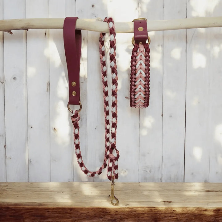 Handgefertigte Hundeleine & Halsband – Geflochten aus Biothane & Paracord im Set - Die StupsnaseHandgefertigte Hundeleine & Halsband – Geflochten aus Biothane & Paracord im SetHundesetDie StupsnaseHundeset