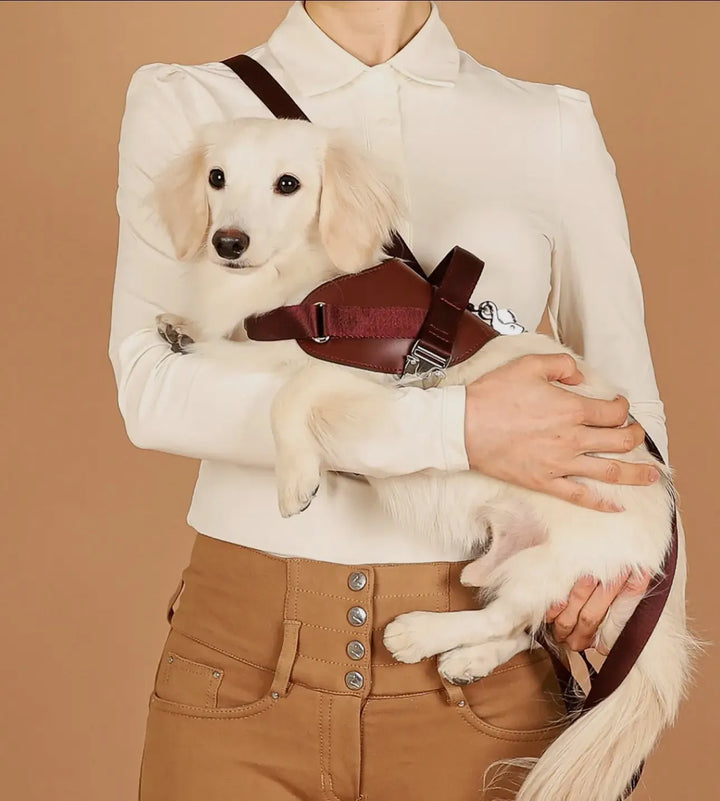Handgefertigtes ergonomisches Sattelgeschirr für Hunde in Burgunderrot – Vegan, sicher & komfortabel - Die StupsnaseHandgefertigtes ergonomisches Sattelgeschirr für Hunde in Burgunderrot – Vegan, sicher & komfortabelHundegeschirrDie StupsnaseHundegeschirr