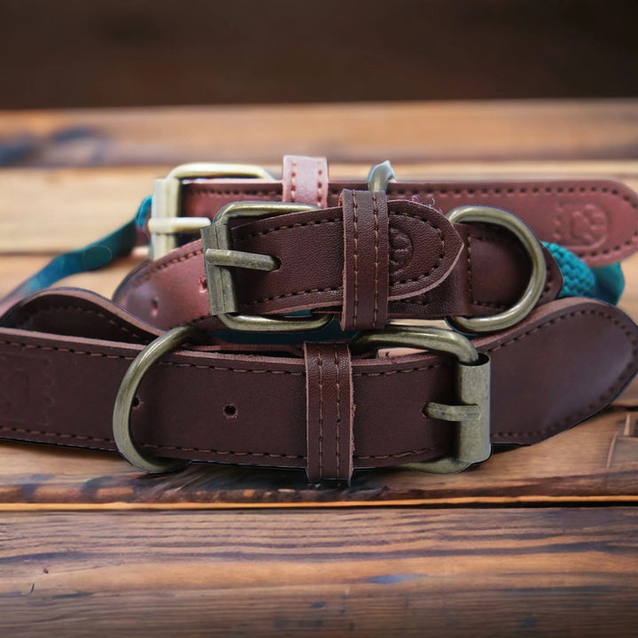 Handgefertigtes Hundehalsband aus wetterfestem und langlebigem Tau - Die StupsnaseHandgefertigtes Hundehalsband aus wetterfestem und langlebigem TauHundehalsbandDie StupsnaseHundehalsband
