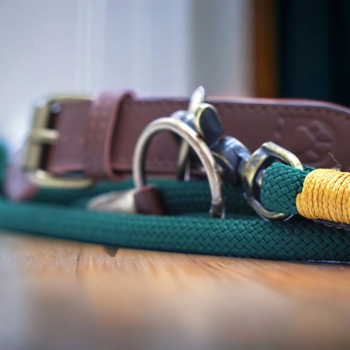 Handgefertigtes Hundehalsband aus wetterfestem und langlebigem Tau - Die StupsnaseHandgefertigtes Hundehalsband aus wetterfestem und langlebigem TauHundehalsbandDie StupsnaseHundehalsband