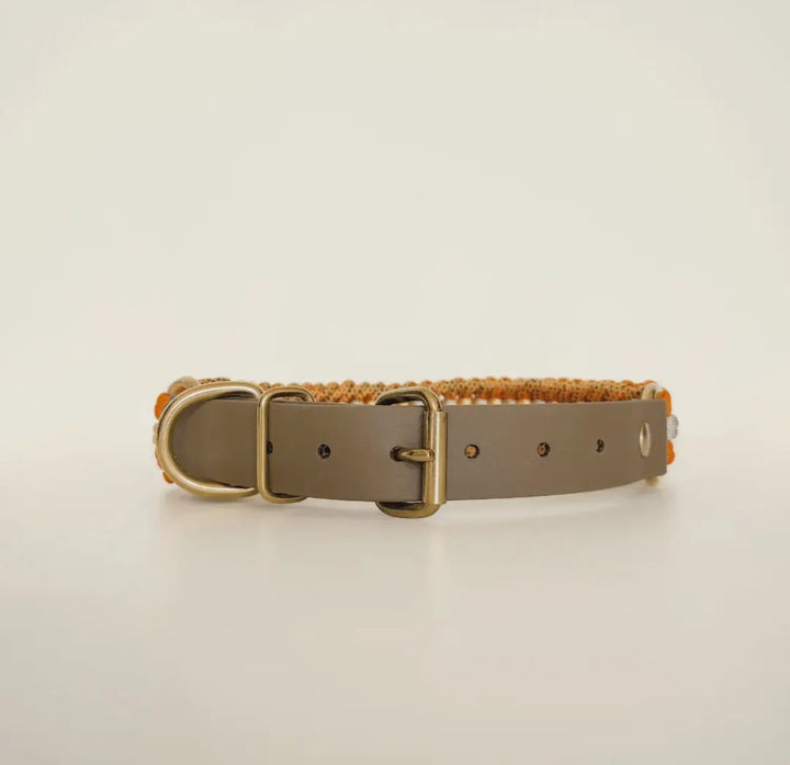 Handgefertigtes Paracord Hundehalsband mit passender Leine – Orange & Grau – Robust & Wasserfest - Die StupsnaseHandgefertigtes Paracord Hundehalsband mit passender Leine – Orange & Grau – Robust & WasserfestHundesetDie StupsnaseHundeset