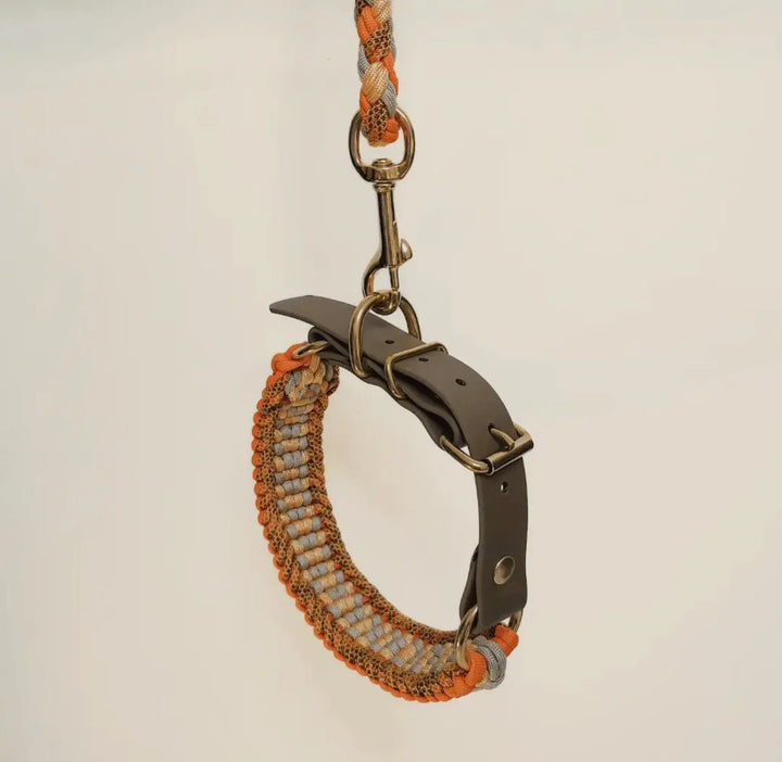 Handgefertigtes Paracord Hundehalsband mit passender Leine – Orange & Grau – Robust & Wasserfest - Die StupsnaseHandgefertigtes Paracord Hundehalsband mit passender Leine – Orange & Grau – Robust & WasserfestHundesetDie StupsnaseHundeset
