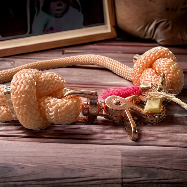 Hundehalsband aus Paracord „Salmon“ - Die StupsnaseHundehalsband aus Paracord „Salmon“HundehalsbandDie StupsnaseHundehalsband