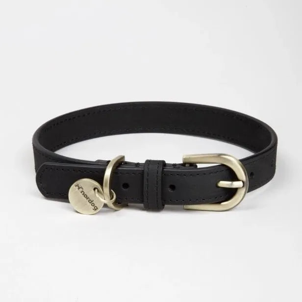 Hundehalsband Coal aus hochwertigem Leder - Die StupsnaseHundehalsband Coal aus hochwertigem LederHundehalsbandDie StupsnaseHundehalsband