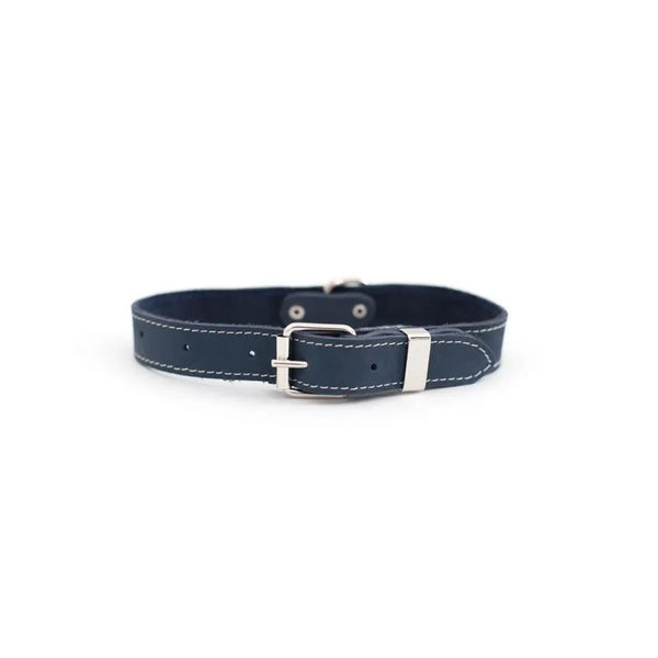 Hundehalsband Leder Blau Minimalistisch - Die StupsnaseHundehalsband Leder Blau MinimalistischHundehalsbandDie StupsnaseHundehalsband