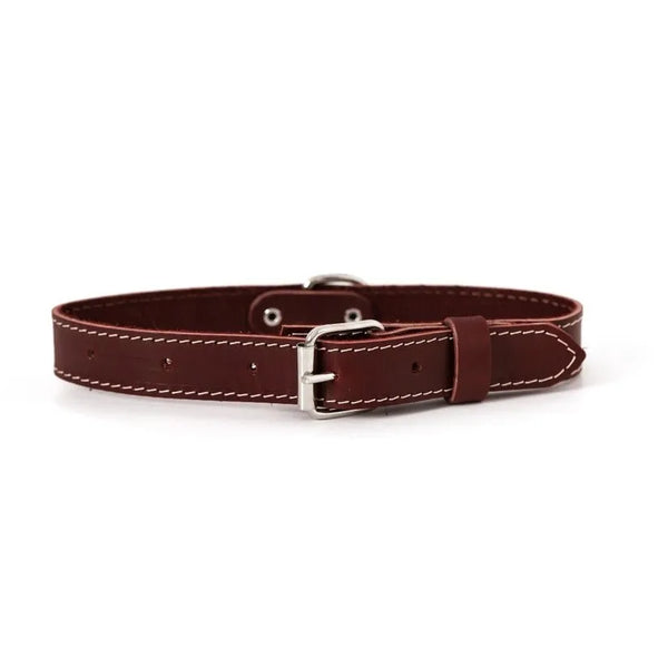 Hundehalsband Leder Dunkelbraun - Die StupsnaseHundehalsband Leder DunkelbraunHundehalsbandDie StupsnaseHundehalsband