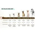 Hundehalsband Leder Hellbraun - Tags? - Die StupsnaseHundehalsband Leder Hellbraun - Tags?HundehalsbandDie StupsnaseHundehalsband