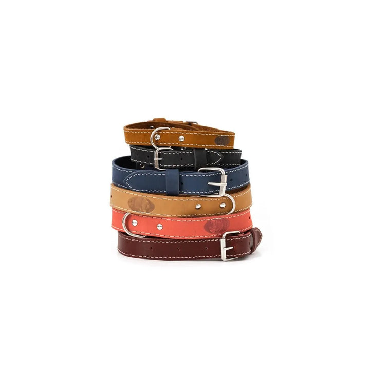 Hundehalsband Leder Hellbraun - Tags? - Die StupsnaseHundehalsband Leder Hellbraun - Tags?HundehalsbandDie StupsnaseHundehalsband