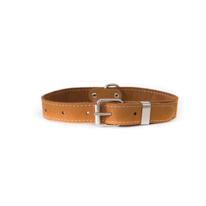 Hundehalsband Leder Hellbraun - Tags? - Die StupsnaseHundehalsband Leder Hellbraun - Tags?HundehalsbandDie StupsnaseHundehalsband