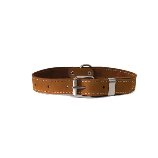 Hundehalsband Leder in einem sanften Hellbraun - Die StupsnaseHundehalsband Leder in einem sanften HellbraunHundehalsbandDie StupsnaseHundehalsband