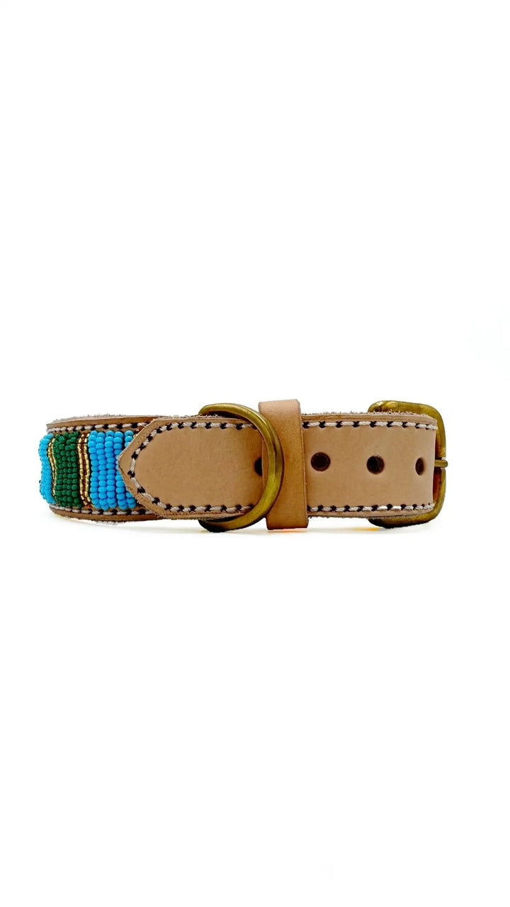 Hundehalsband Leder Perl bunt - Die StupsnaseHundehalsband Leder Perl buntHundehalsbandDie StupsnaseHundehalsband