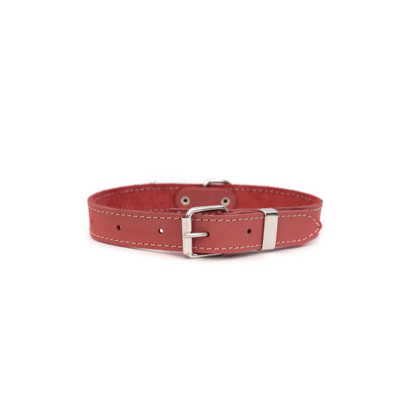 Hundehalsband Leder Rot - Die StupsnaseHundehalsband Leder RotHundehalsbandDie StupsnaseHundehalsband