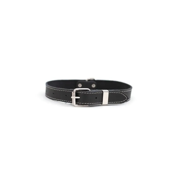 Hundehalsband Leder Schwarz - Die StupsnaseHundehalsband Leder SchwarzHundehalsbandDie StupsnaseHundehalsband