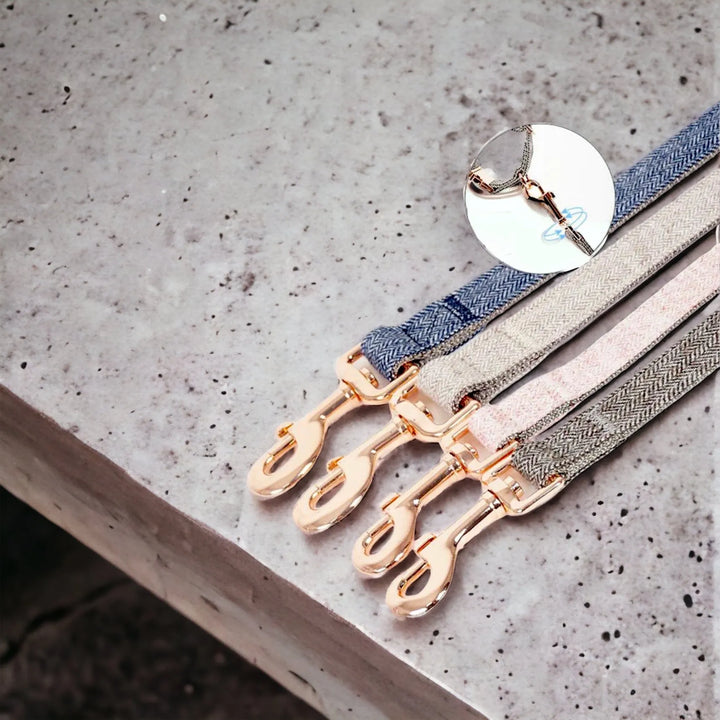 Hundehalsband Strapazierfähiges Nylonmaterial für Langlebigkeit Set möglich - Die StupsnaseHundehalsband Strapazierfähiges Nylonmaterial für Langlebigkeit Set möglichHundehalsbandDie StupsnaseHundehalsband