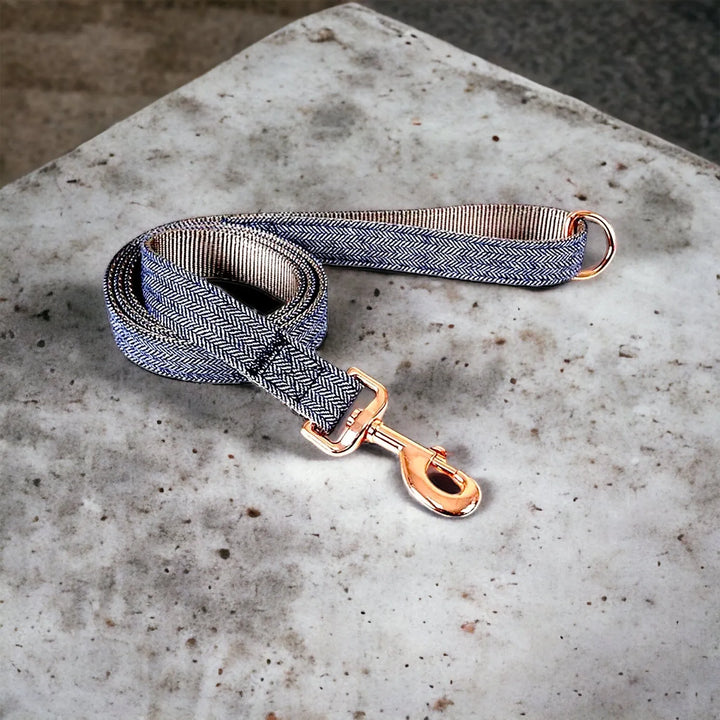 Hundehalsband Strapazierfähiges Nylonmaterial für Langlebigkeit Set möglich - Die StupsnaseHundehalsband Strapazierfähiges Nylonmaterial für Langlebigkeit Set möglichHundehalsbandDie StupsnaseHundehalsband