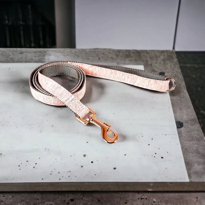 Hundehalsband Strapazierfähiges Nylonmaterial für Langlebigkeit Set möglich - Die StupsnaseHundehalsband Strapazierfähiges Nylonmaterial für Langlebigkeit Set möglichHundehalsbandDie StupsnaseHundehalsband