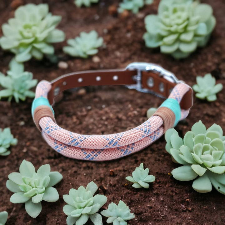 Hundehalsband Tau Rosa - Die StupsnaseHundehalsband Tau RosaHundehalsbandDie StupsnaseHundehalsband