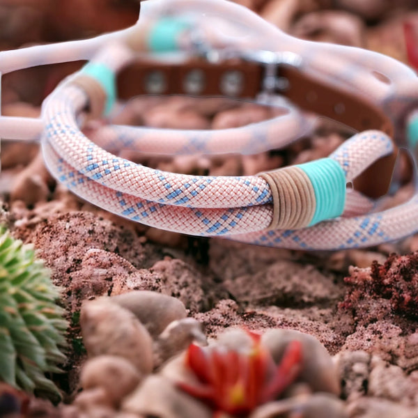 Hundehalsband Tau Rosa - Die StupsnaseHundehalsband Tau RosaHundehalsbandDie StupsnaseHundehalsband